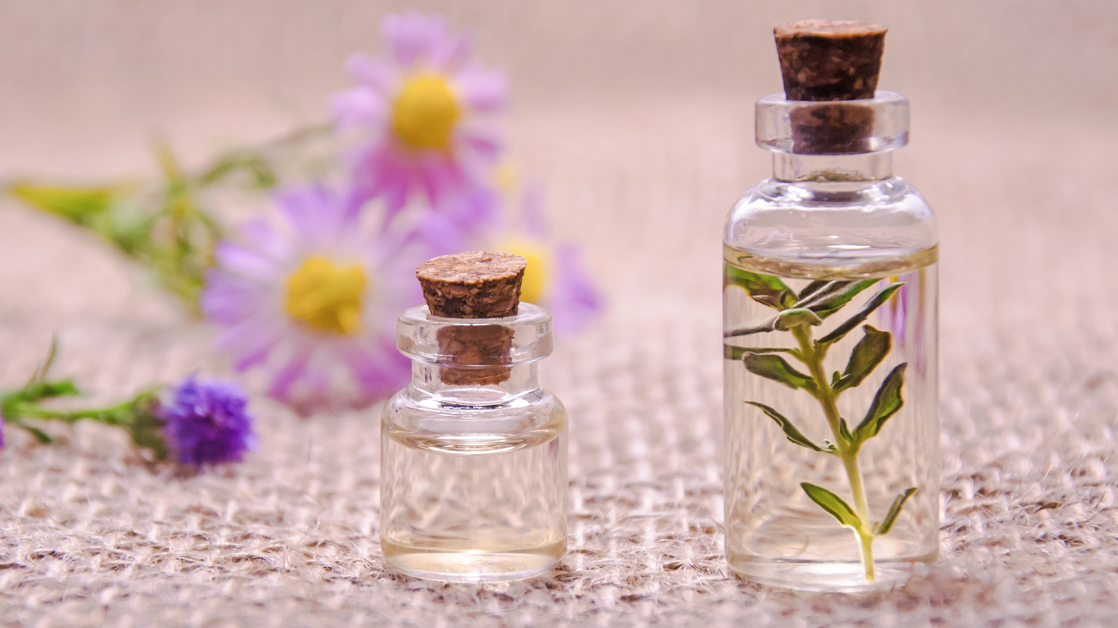 Mit pflanzlichen Tropfen Verdauungsbeschwerden natürlich regulieren statt zu unterdrücken