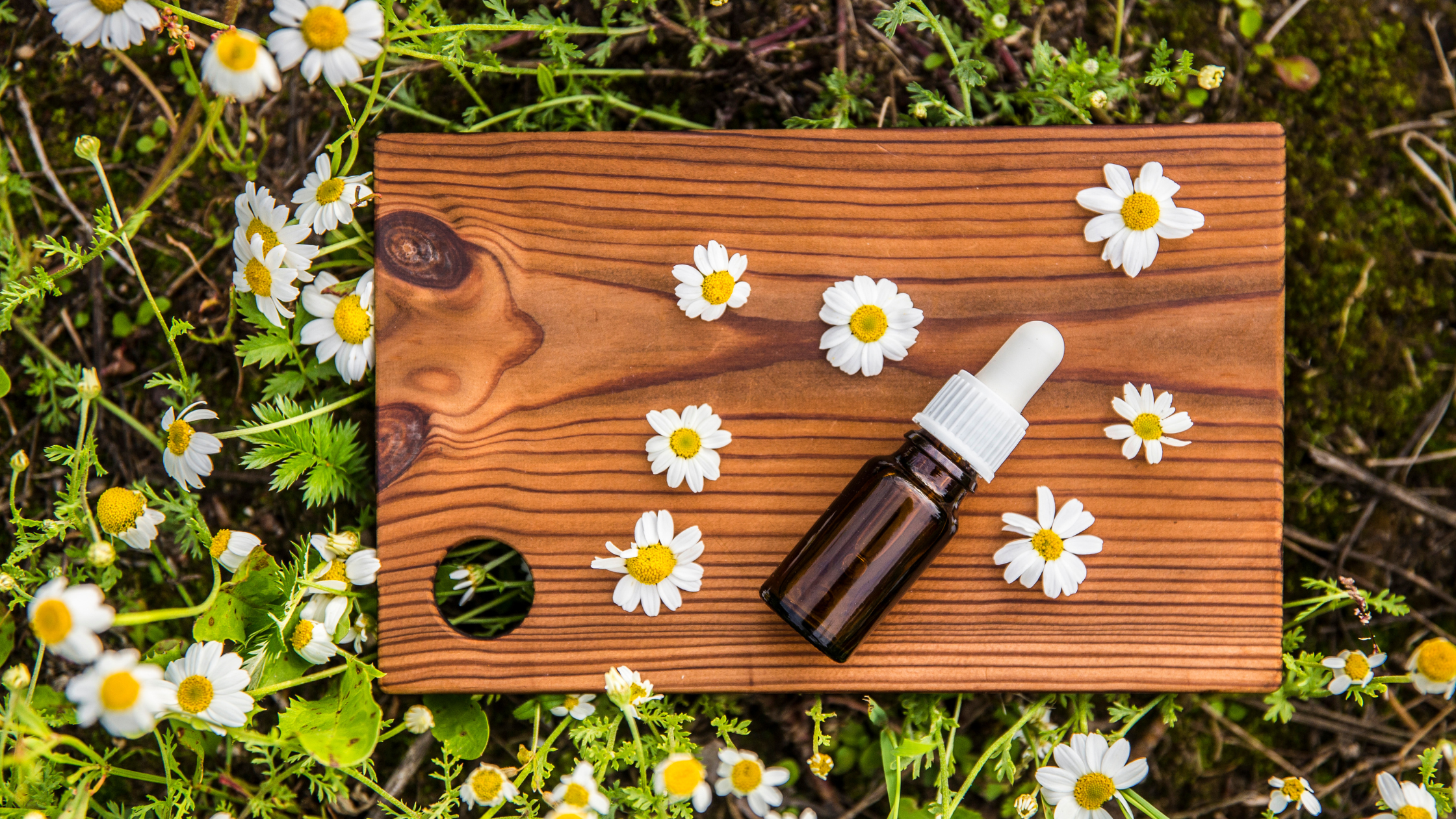 Bachblüten im Alltag für Kinder und Eltern richtig einsetzen