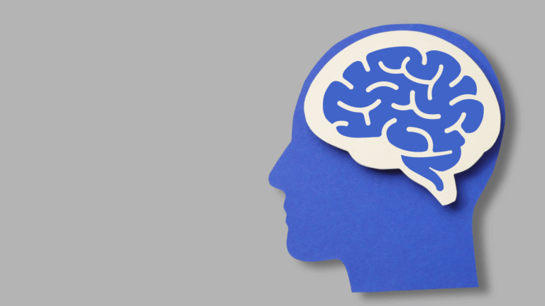 Gedächtnis, Konzentration und mentale Frische auf natürliche Wege stärken