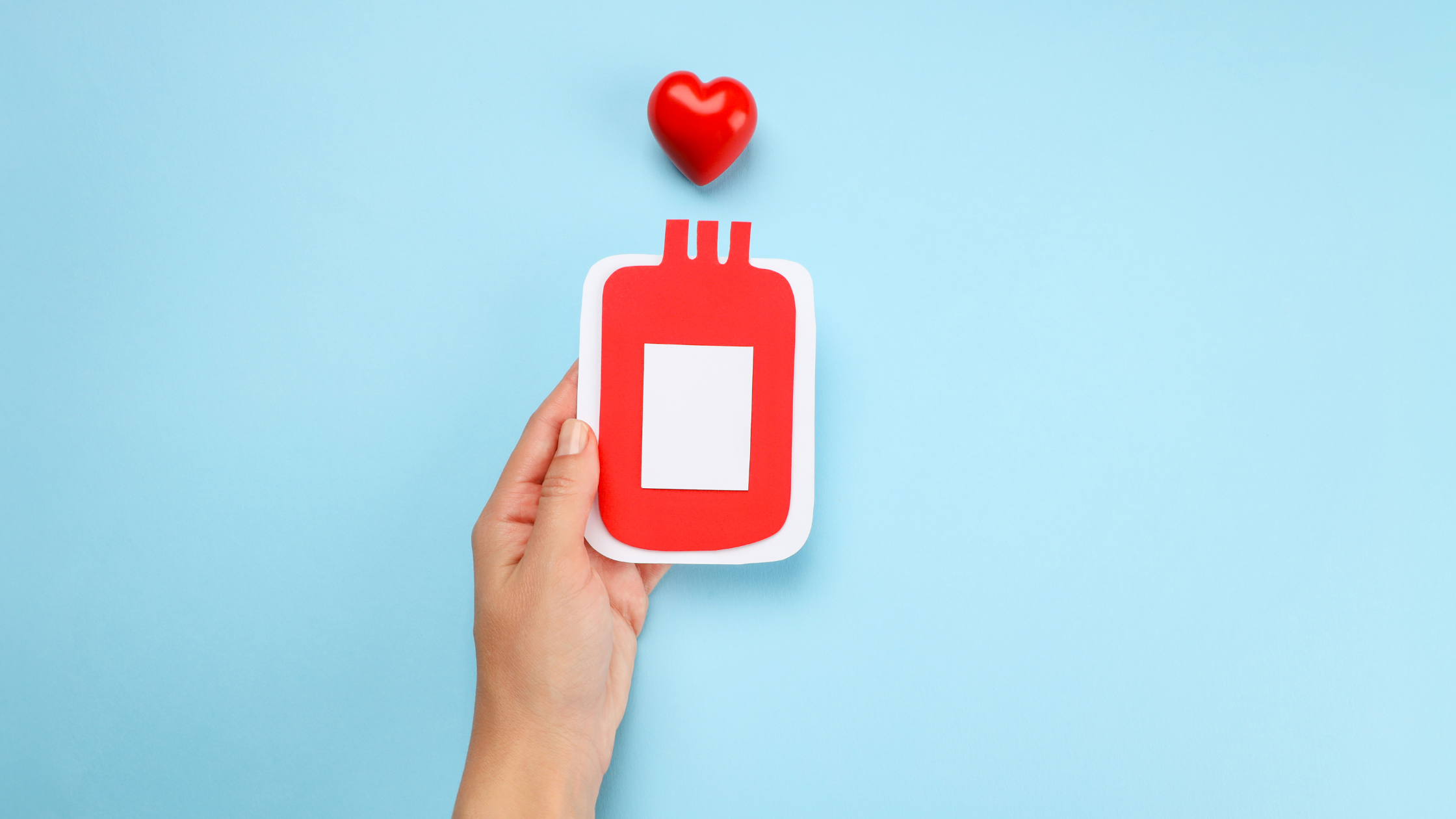 Gesunde Gefäße für eine stabile Durchblutung und starke Venen