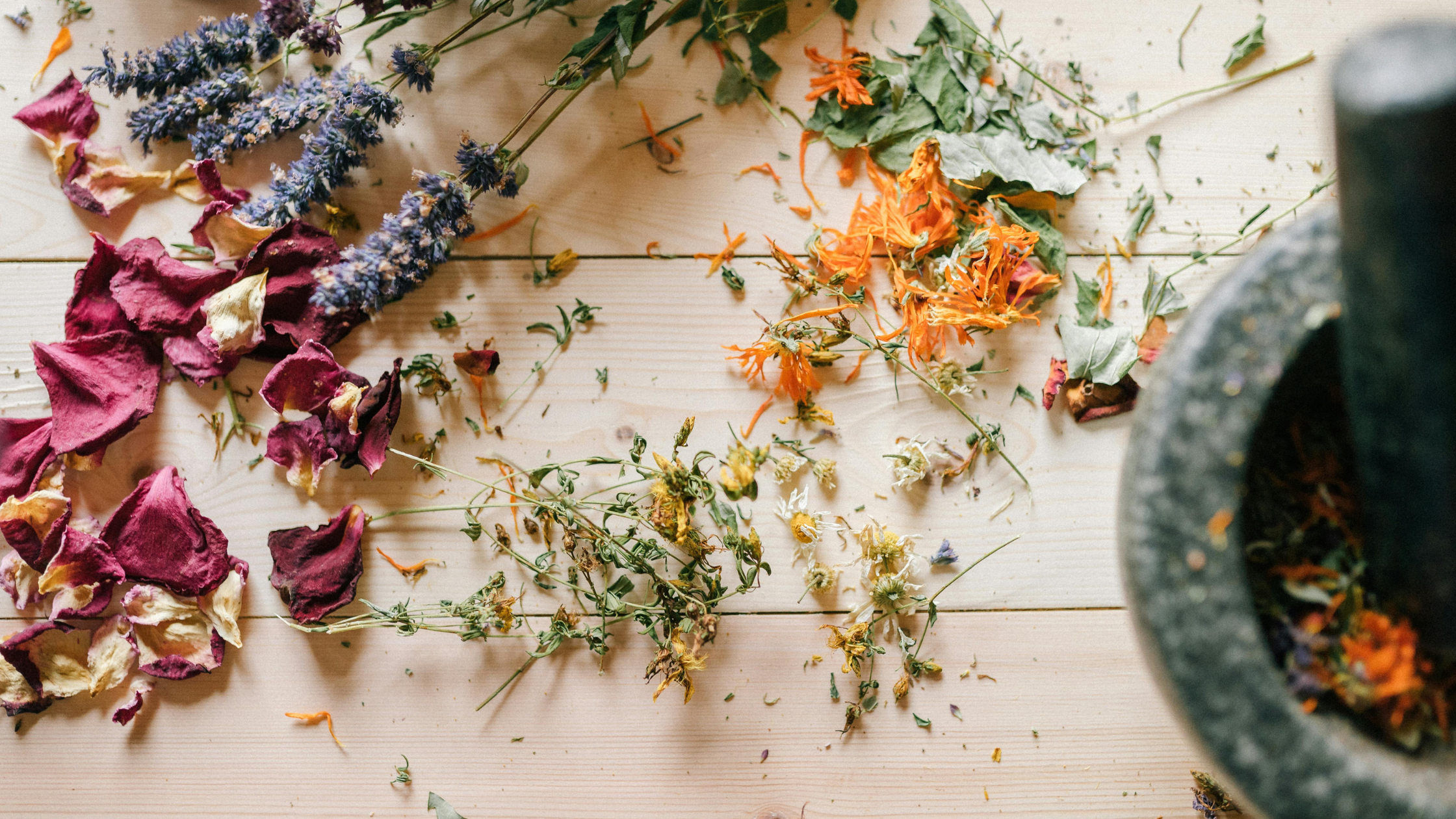 Naturapotheke für Kinder und Familien im Alltag anwenden